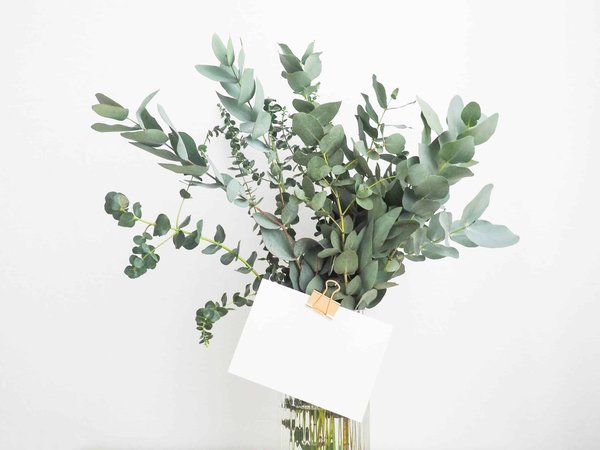 Guide pour choisir le montant idéal d'un chèque cadeau déco